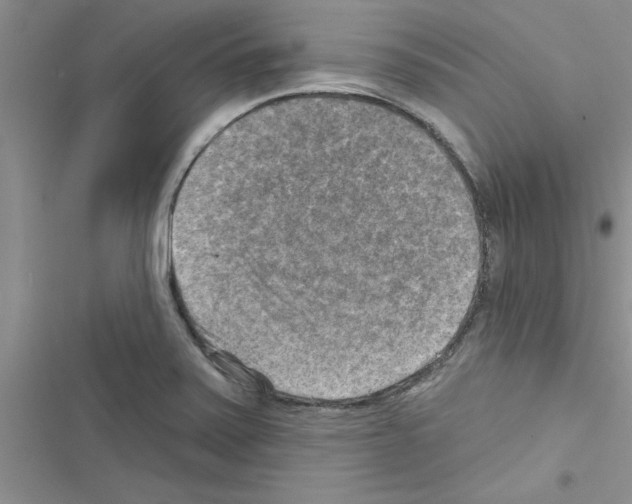 X0000116631371201001221352