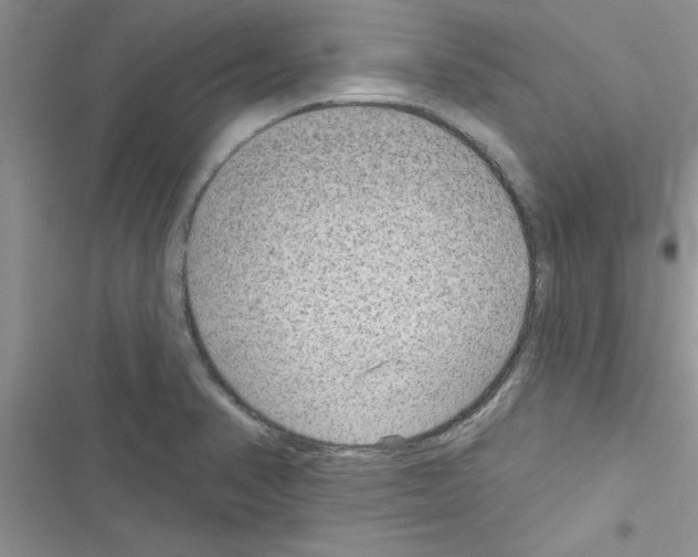 X0000116631374201001221352