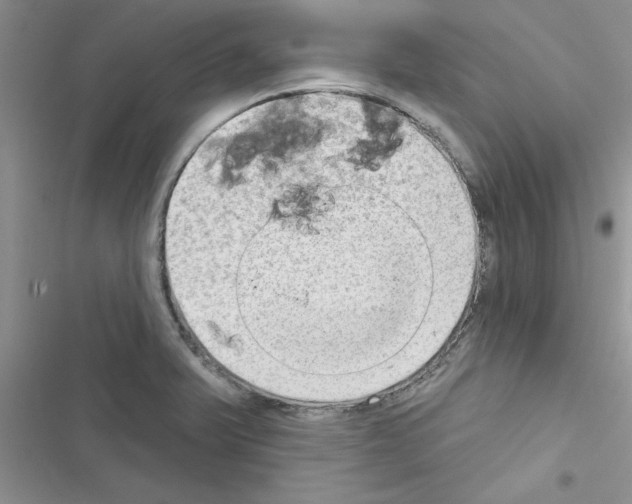 X0000116631375201001221352