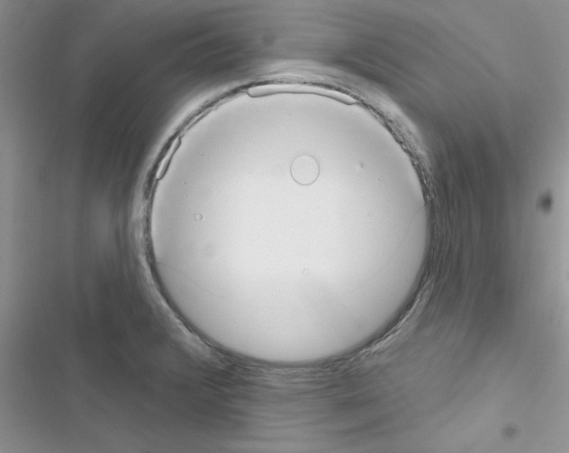 X0000116631376201001221352