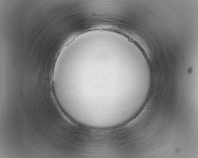 X0000116631377201001221352
