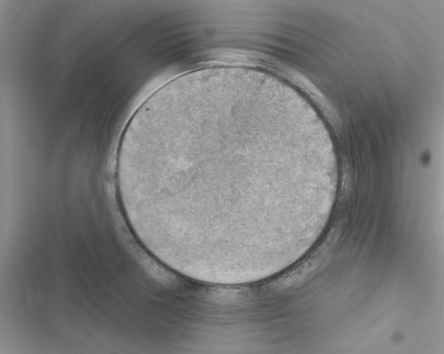 X0000116631378201001221352