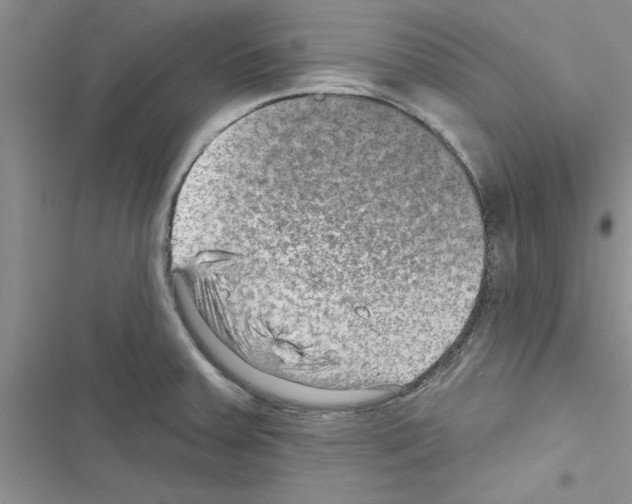 X0000116631379201001221352