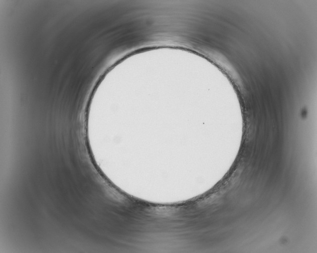 X0000116631380201001221352