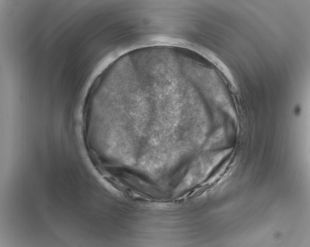 X0000116631381201001221352