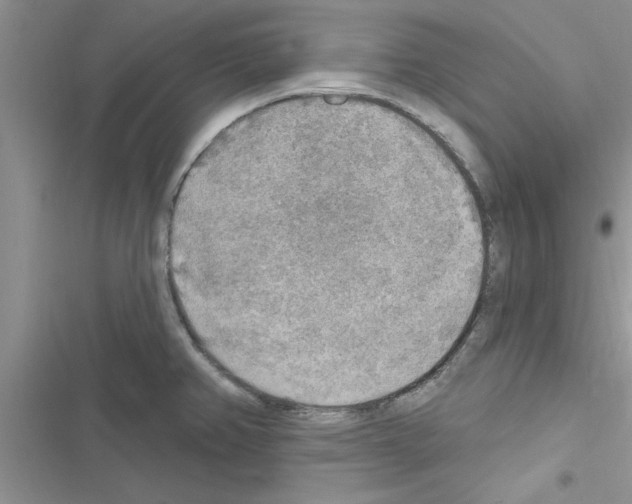 X0000116631382201001221352