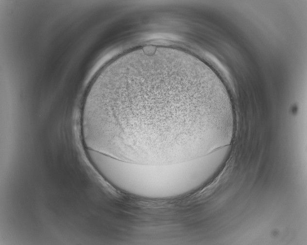 X0000116631384201001221351