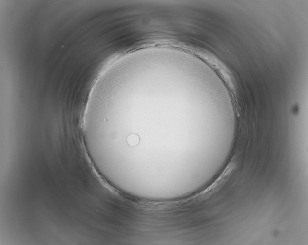 X0000116631385201001221351