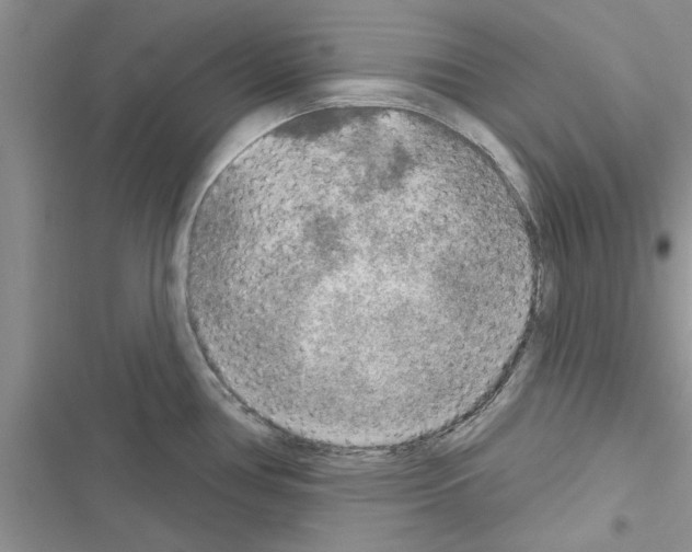 X0000116631386201001221351