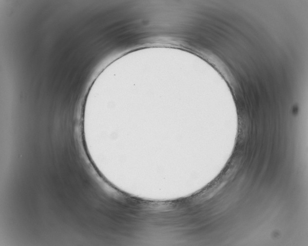 X0000116631387201001221351