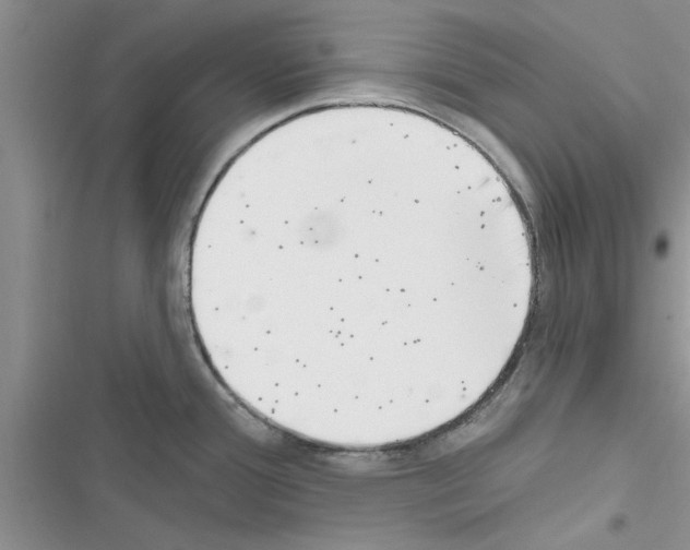X0000116631388201001221351