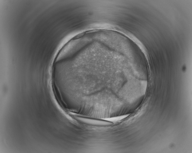 X0000116631389201001221351