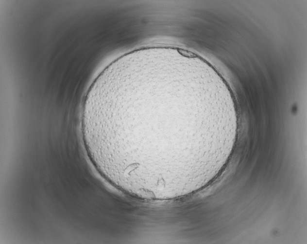 X0000116631390201001221351