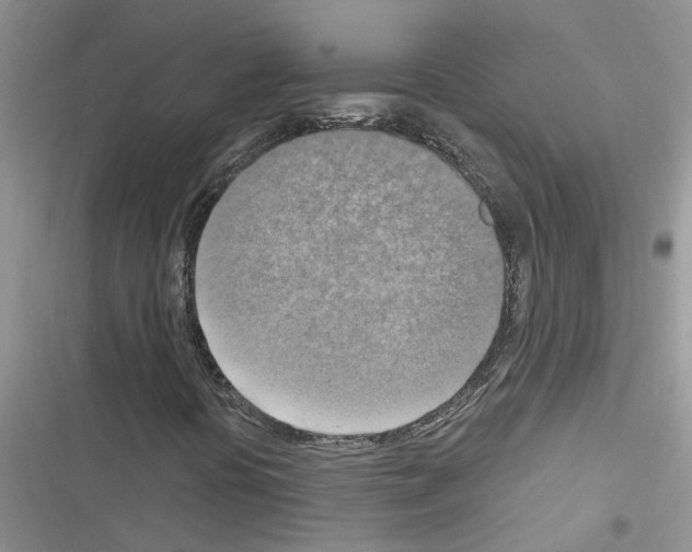 X0000116631394201001221351