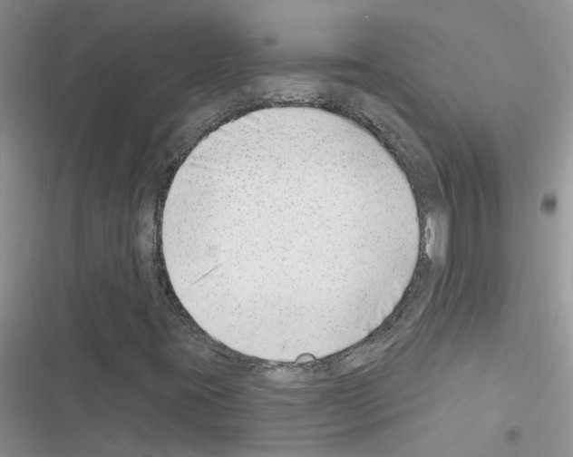 X0000116631395201001221351