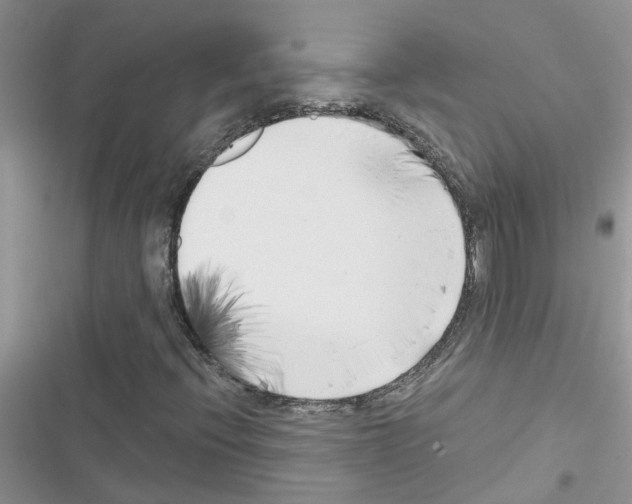 X0000116631396201001221351