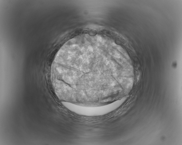 X0000116631397201001221351