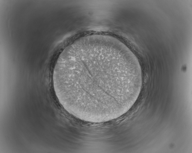 X0000116631398201001221351