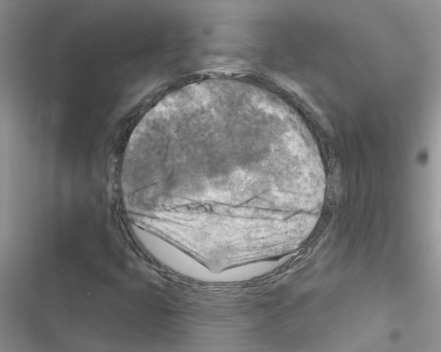 X0000116631399201001221351