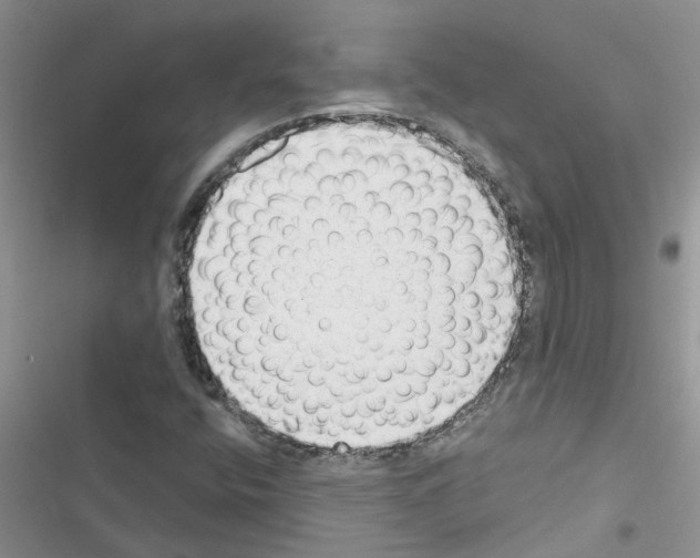 X0000116631400201001221351