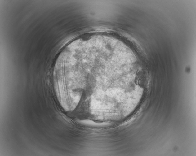 X0000116631401201001221351