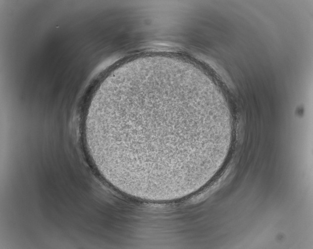 X0000116631402201001221351
