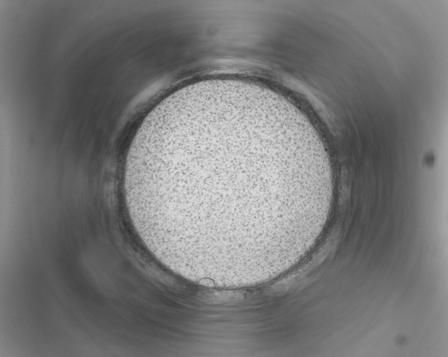 X0000116631403201001221351