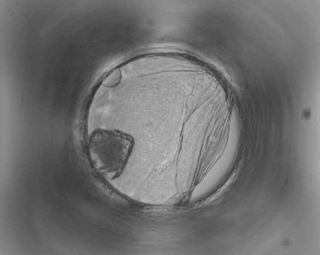 X0000116631405201001221351