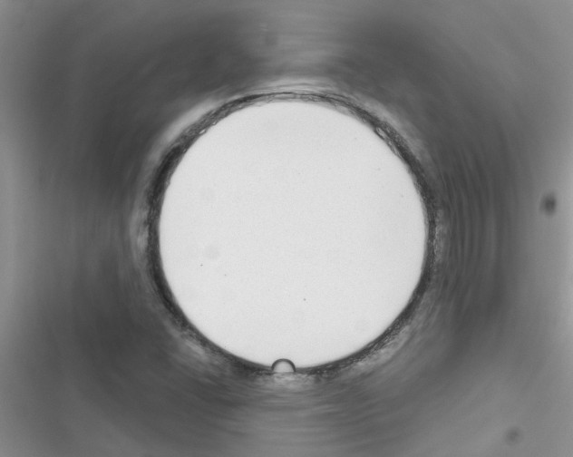 X0000116631406201001221351