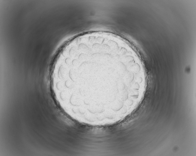 X0000116631408201001221351