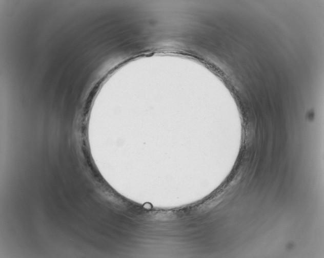 X0000116631410201001221351