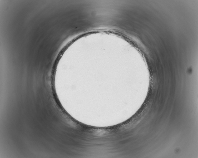 X0000116631412201001221351