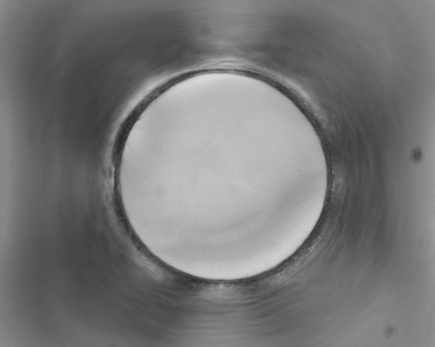 X0000116631414201001221351