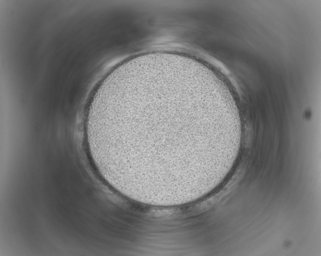 X0000116631415201001221351