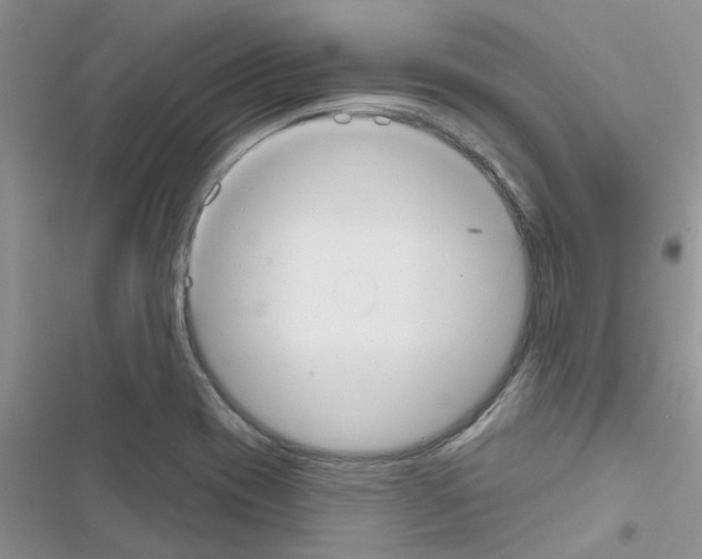 X0000116631417201001221351