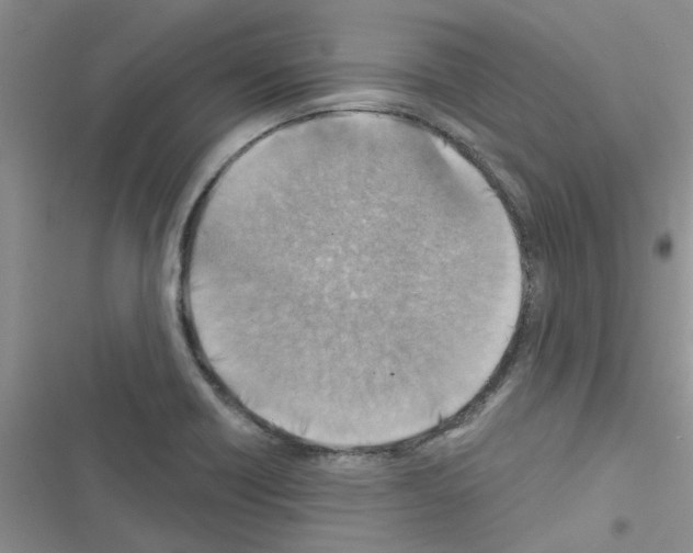 X0000116631418201001221351