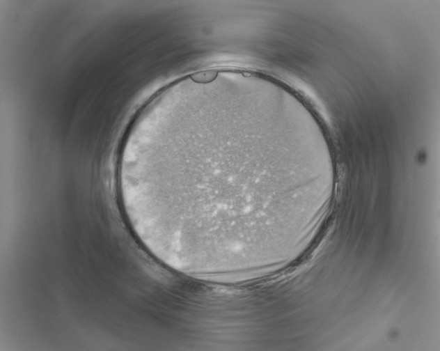 X0000116631419201001221351