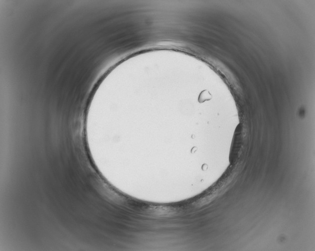 X0000116631420201001221351