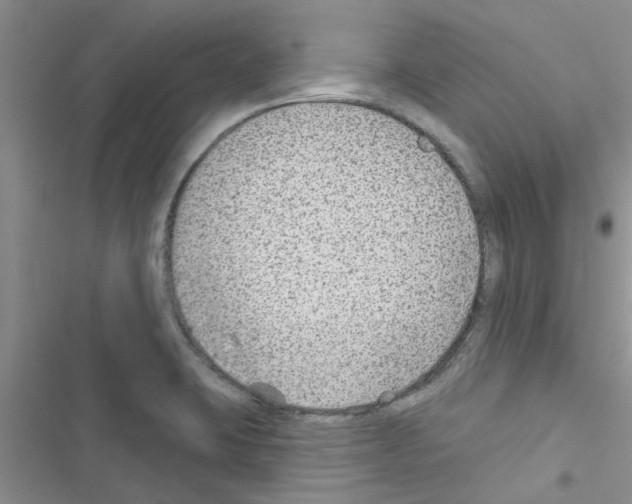 X0000116631423201001221351