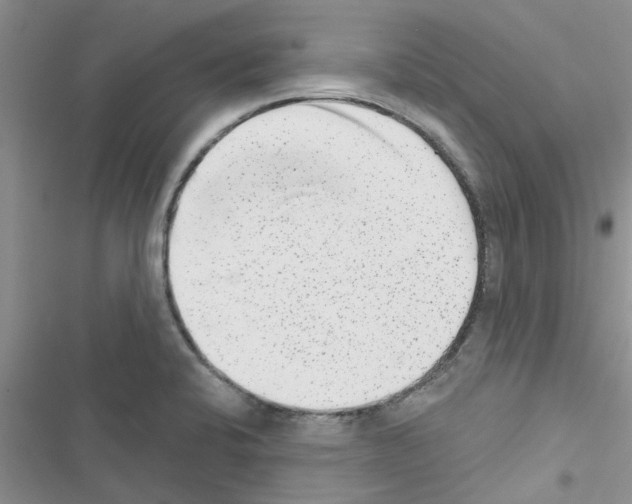 X0000116631424201001221351
