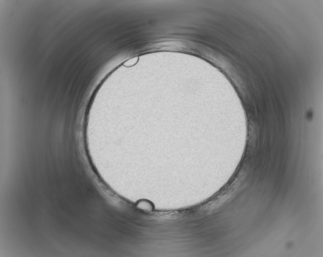 X0000116631426201001221351