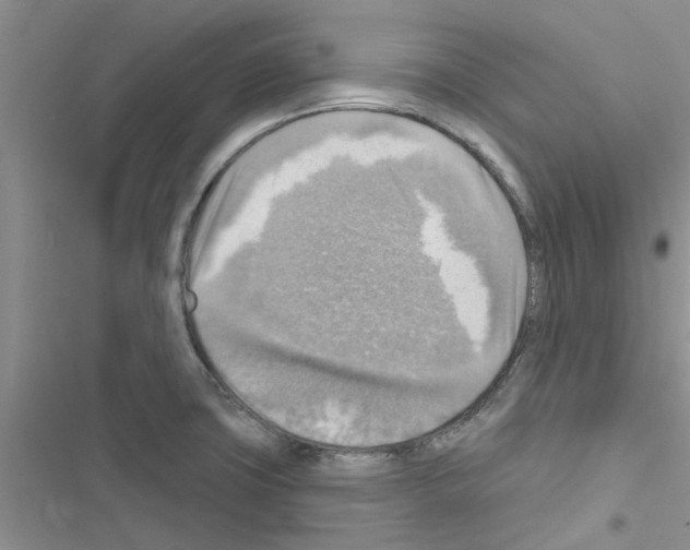 X0000116631427201001221351