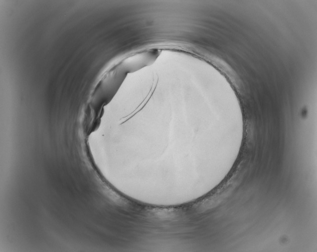 X0000116631428201001221351