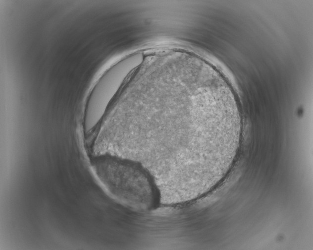 X0000116631429201001221351