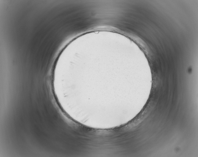 X0000116631430201001221351