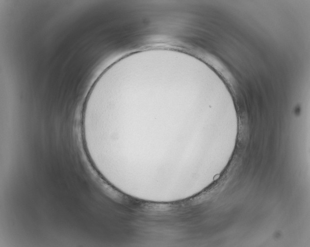 X0000116631431201001221351