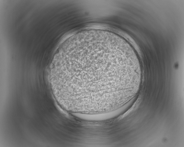 X0000116631433201001221351