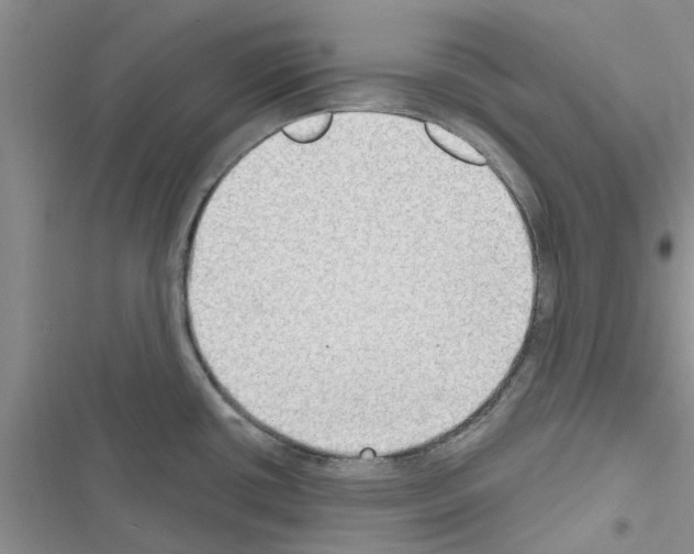 X0000116631434201001221351