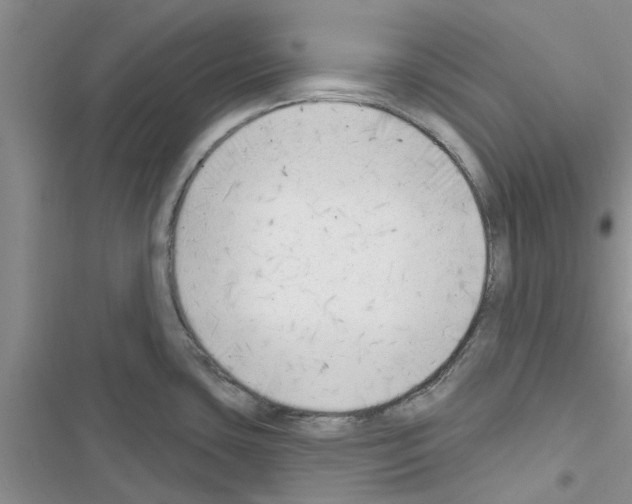 X0000116631435201001221351