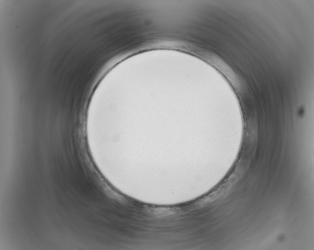 X0000116631436201001221351